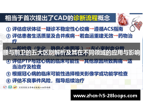 腰与前卫的五大区别解析及其在不同领域的应用与影响 腰与前卫的五大区别解析及其在不同领域的应用与影响