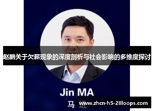 赵鹏关于欠薪现象的深度剖析与社会影响的多维度探讨