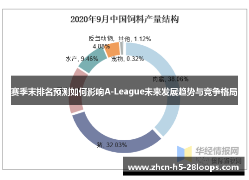 赛季末排名预测如何影响A-League未来发展趋势与竞争格局